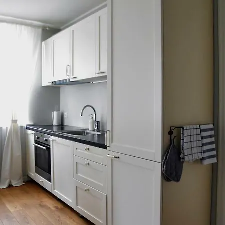 公寓 Suur-sepa 派尔努