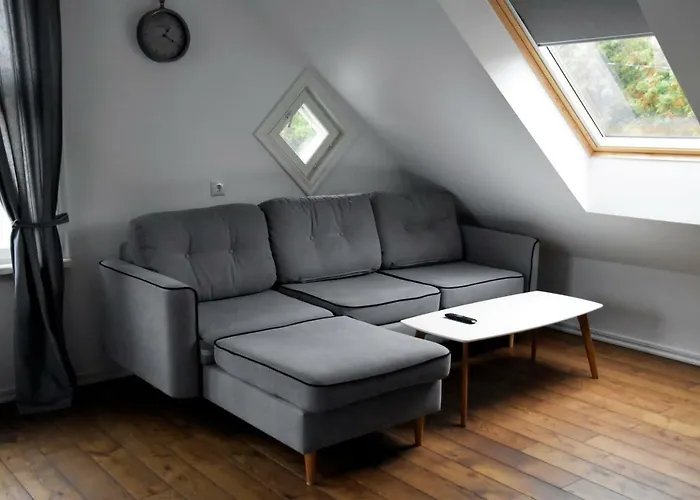 Suur-sepa * Пярну